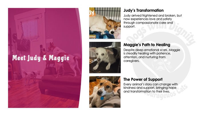 Program Slide